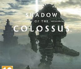 image-https://media.senscritique.com/media/000017575286/0/shadow_of_the_colossus.jpg