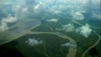 Mighty Amazon