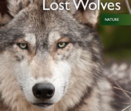 image-https://media.senscritique.com/media/000017576579/0/land_of_the_lost_wolves.jpg