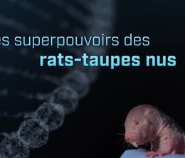 image-https://media.senscritique.com/media/000017582305/0/les_superpouvoirs_des_rats_taupes_nus.jpg