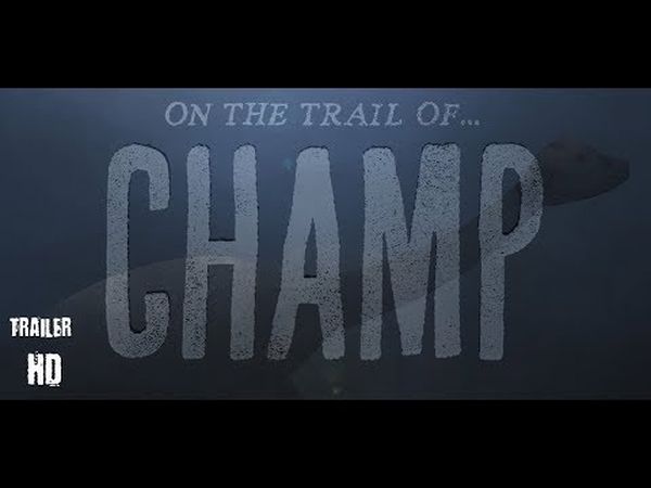 On the Trail of...Champ