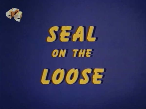 Seal on the Loose