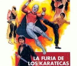 image-https://media.senscritique.com/media/000017587677/0/la_furia_de_los_karatecas.jpg