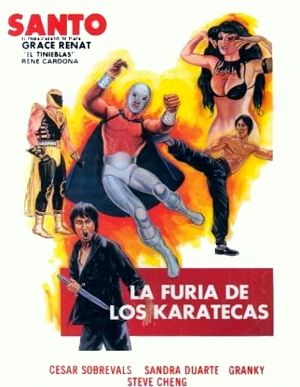 La furia de los karatecas