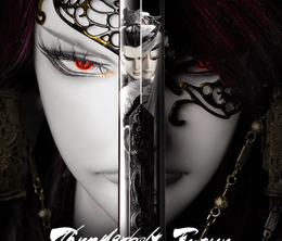 image-https://media.senscritique.com/media/000017593938/0/thunderbolt_fantasy_the_sword_of_life_and_death.png
