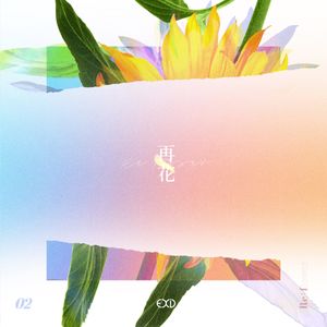 [Re:flower] PROJECT #2 (Single)