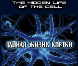 image-https://media.senscritique.com/media/000017599180/0/secret_universe_the_hidden_life_of_the_cell.jpg