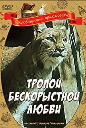 Kounak, le lynx fidèle