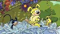 Marsupilou