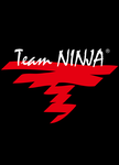 Team Ninja