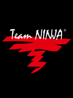 Team Ninja