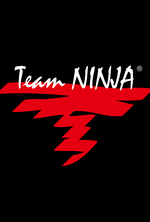 Team Ninja