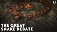 The Great Snake Debate