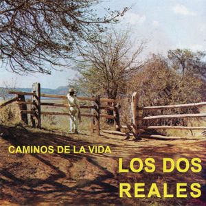 Caminos de la vida