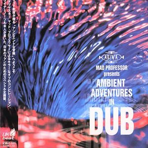 Ambient Adventures in Dub