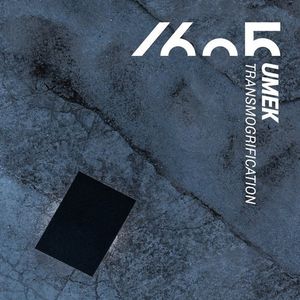 Transmogrification (Single)