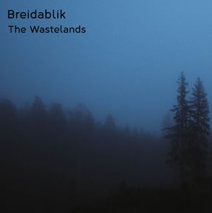 The Wastelands (remastered) (EP)