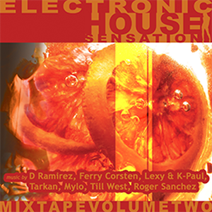 Electronic House Sensation Vol. 2