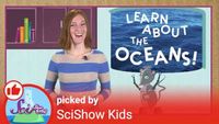 Learn About the Oceans!