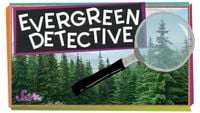 Evergreen Detective!