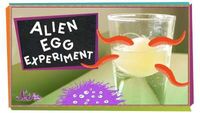 Alien Egg Experiment!