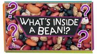 What's Inside a Bean?