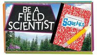 Be a Field Scientist!