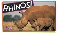 Save the Rhinos!