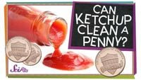 Can Ketchup Clean a Penny?