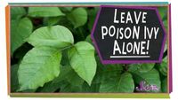 Leave Poison Ivy Alone!