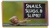 Snails, Slugs, and Slime!