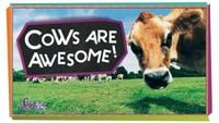 4 Reasons Cows are Awesome!