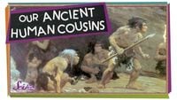 Our Ancient Human Cousins!