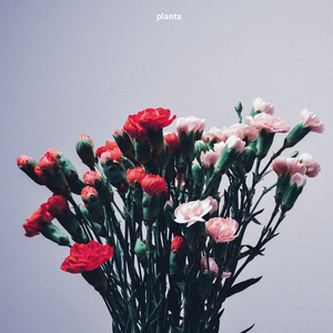 Plants (EP)