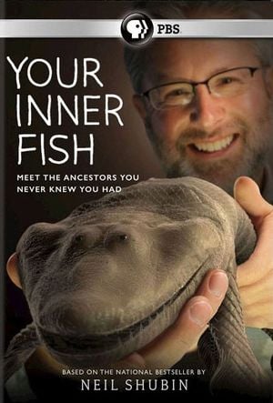 Your Inner Fish