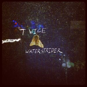 Twice (Little Dragon Cover) (Single)