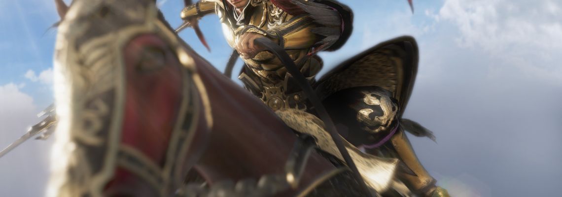 Cover Dynasty Warriors 9