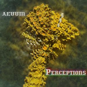 Perceptions (EP)