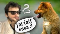 LES ANIMAUX PEUVENT PARLER NOTRE LANGUE ? Vrai ou Faux #58