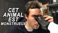 CET ANIMAL EST MONSTRUEUX !