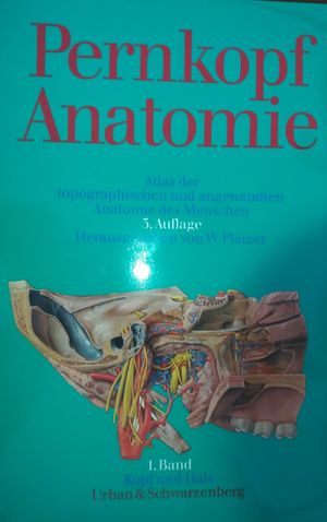 Pernkopf Anatomie : Atlas der topographischen und angewandten Anatomie des Menschen, 1.Band : Kopf und Hals