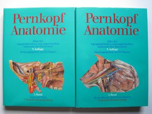 Pernkopf Anatomie : Atlas der topographischen und angewandten Anatomie des Menschen