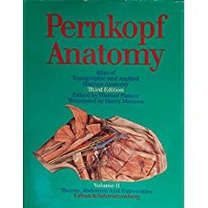 Pernkopf Anatomie : Atlas der topographischen und angewandten Anatomie des Menschen, 2.Band : Brust, Bauch une extremitäten