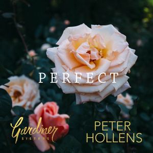 Perfect (Single)