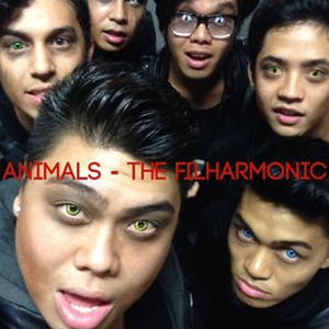 Animals (Single)