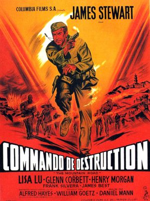 Commando de destruction