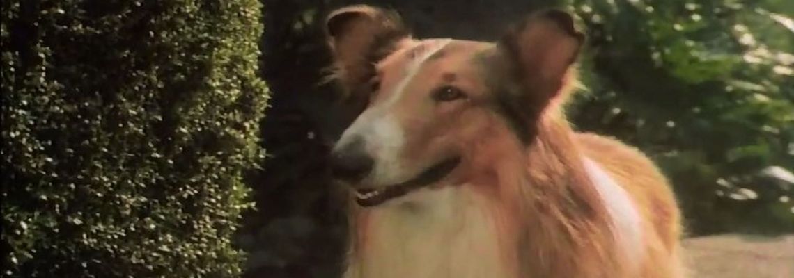 Cover La Magie de Lassie