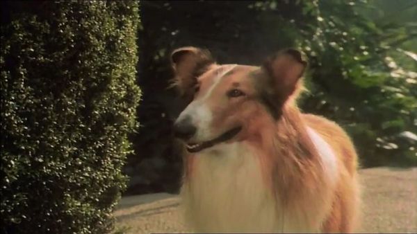 La Magie de Lassie