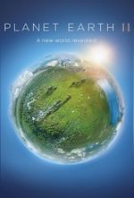 Affiche Planète Terre II