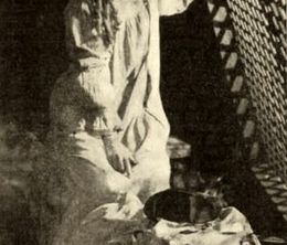 image-https://media.senscritique.com/media/000017650416/0/cinderella.jpg